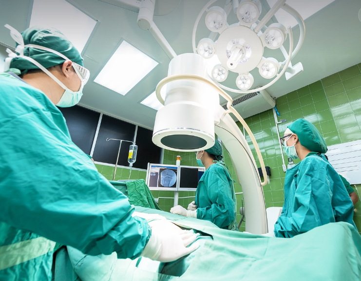 글의 이해를 돕기 위한 사진