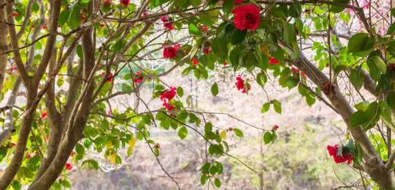 여수 여행 자연과 체험 먹거리를 한 번에 즐기는 완벽 코스