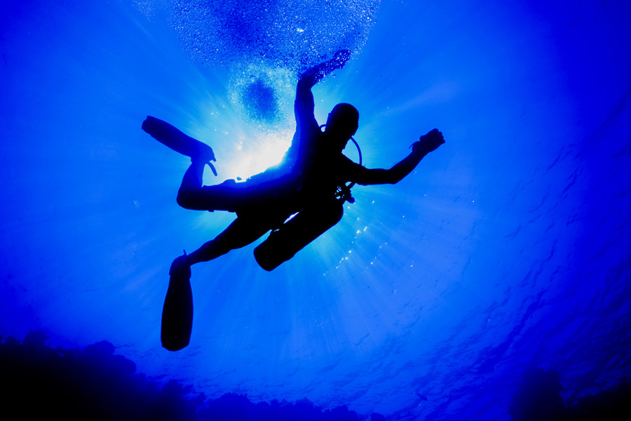 잠수부와 깊은 바다 환각(Nitrogen Narcosis)