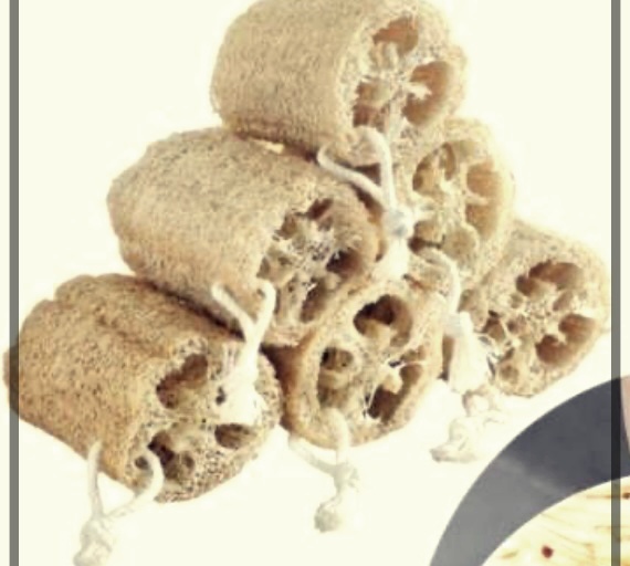 수세미즙의 효능, 부작용 및 제조법