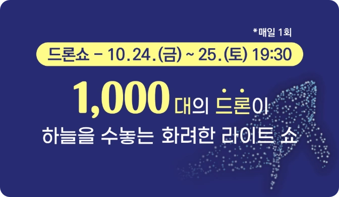 빛 축제 드론쇼 안내 이미지