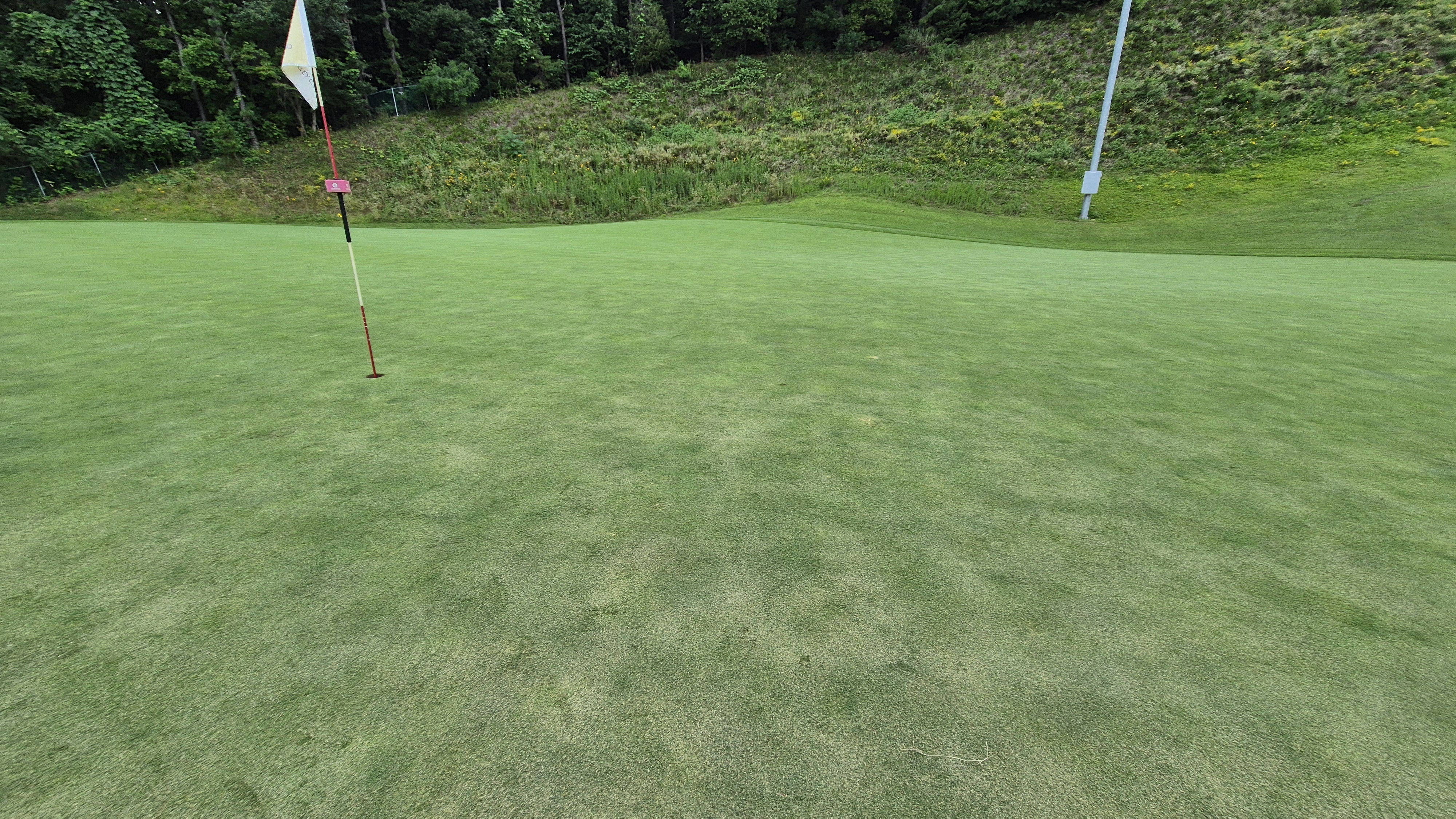 참밸리cc 라운드 후기