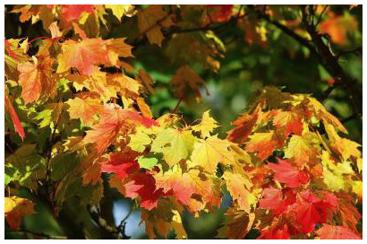 80년대 노래 모음