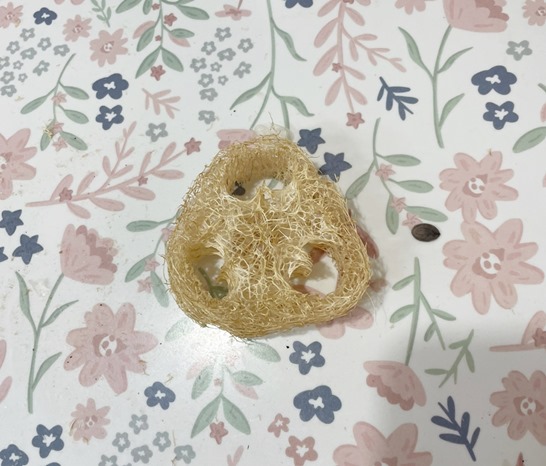 천연수세미 사용후기