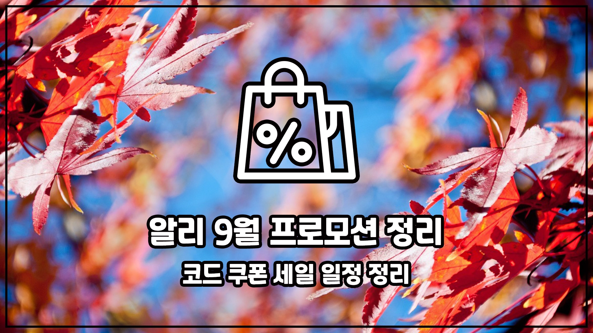 알리익스프레스 9월 코드