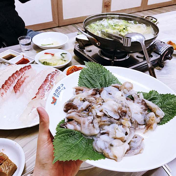 6시내고향 홍성 남당항 새조개 샤부샤부 전국 택배 주문 구매 가능 쭈꾸미 해산물 맛집 오늘 방송 추천