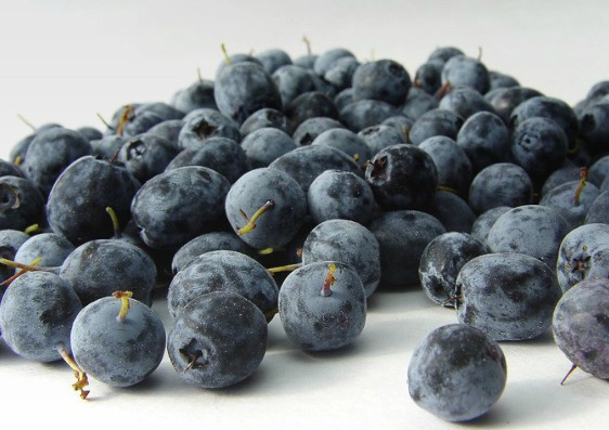 아사이베리 사진