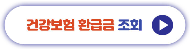 건강보험 환급금 조회