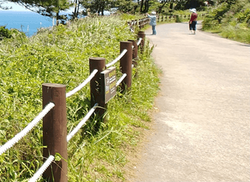 홀로떠나는제주자유여행_송악산둘레길