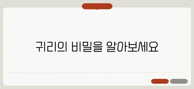 귀리 효능과 섭취 방법 다이어트와 콜레스테롤 관리에 좋은 식품