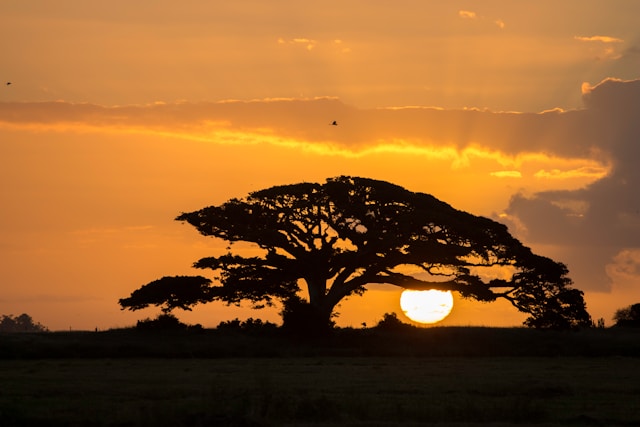 겨울 바다 일출 인생샷 카메라 설정법