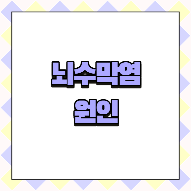 뇌수막염 원인