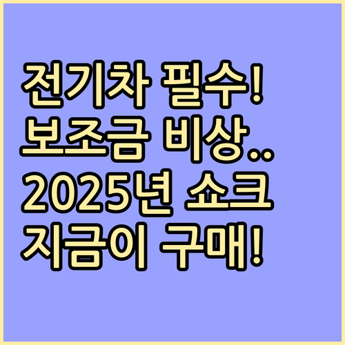 전기차 보조금 2025년 정책 변화 ..
