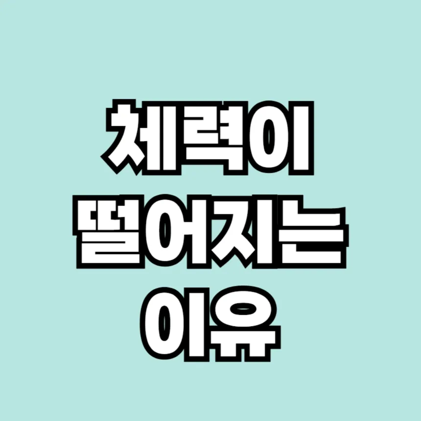 체력이 떨어지는 이유