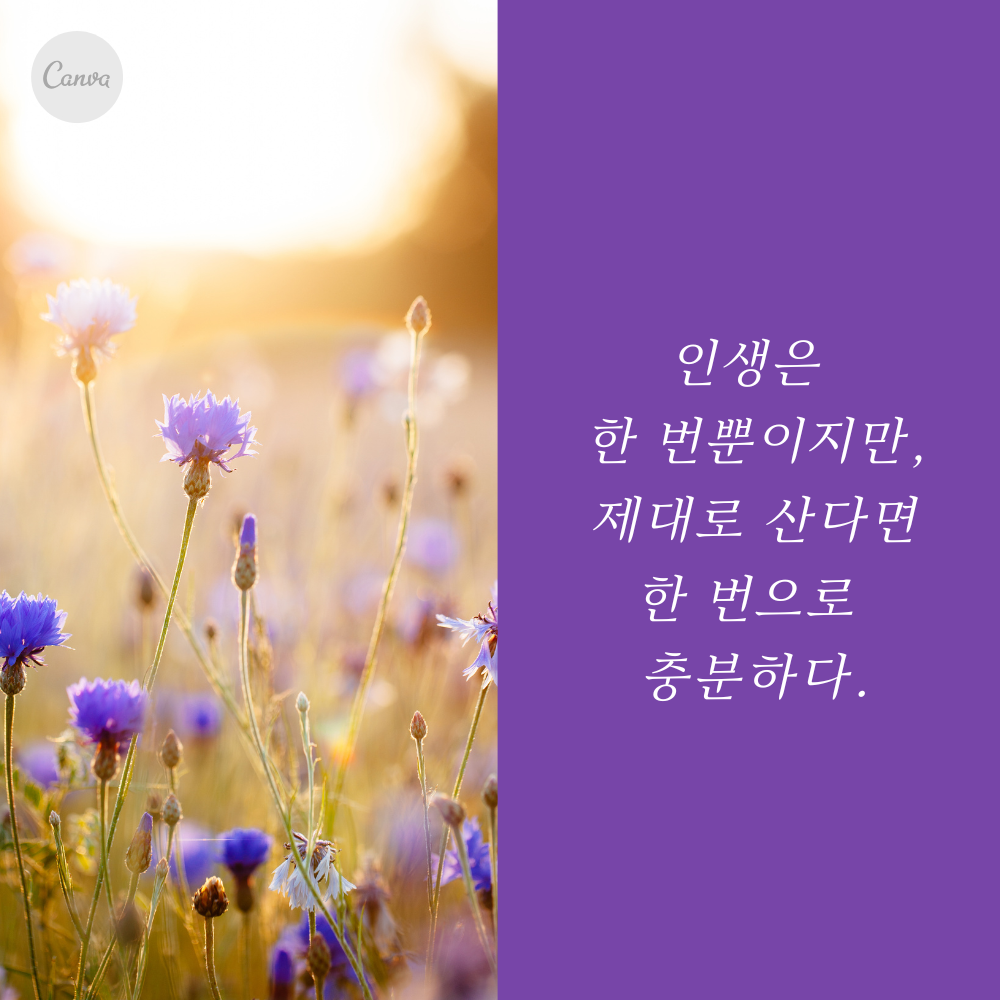 짧고 좋은 글귀 모음 인생 명언 이미지