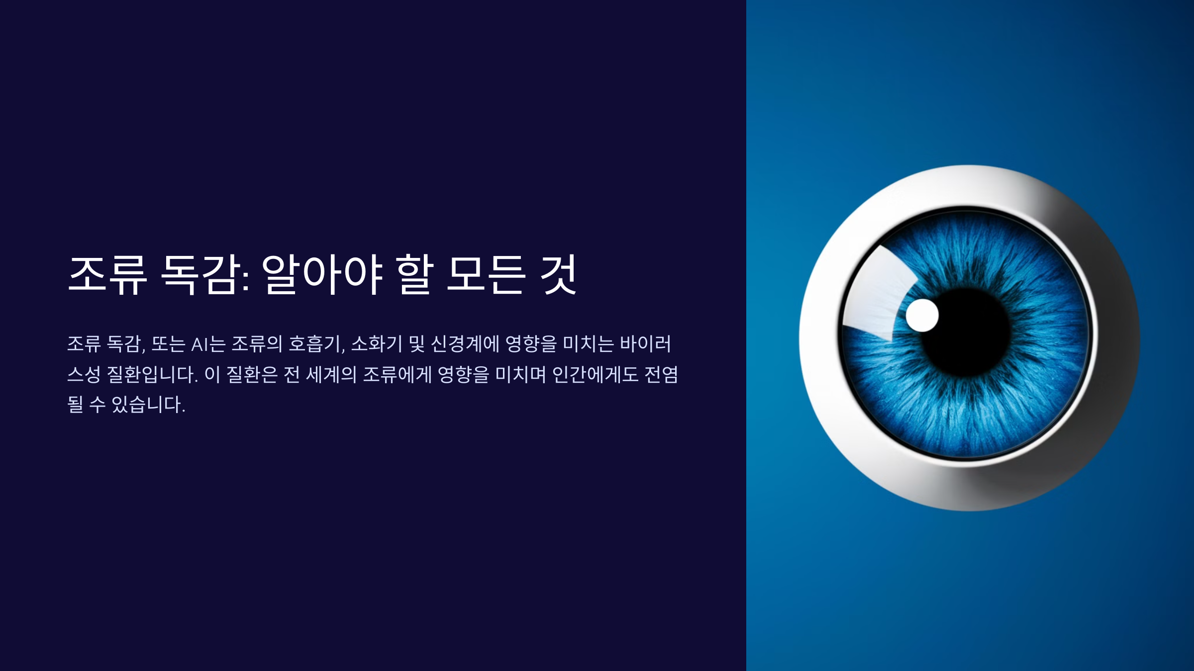 조류 독감