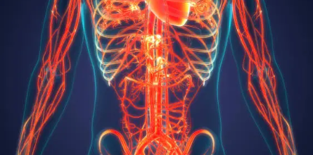 알티지 오메가3