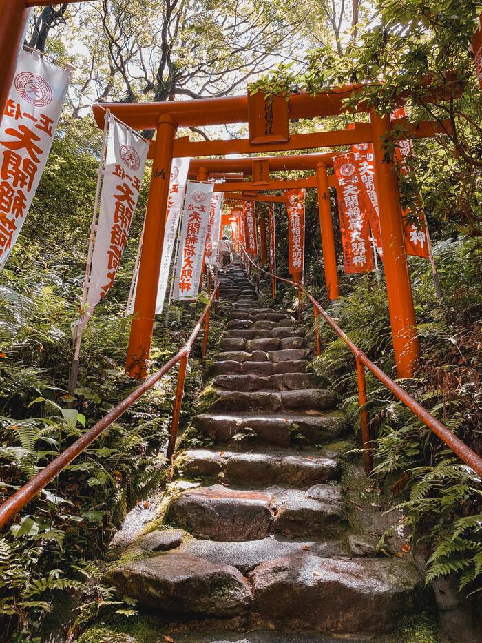 울창한 숲 사이로 이어진 후쿠오카의 붉은 토리이 계단길, 신사로 향하는 신비로운 분위기