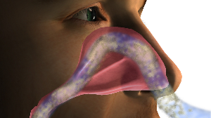 비강호흡으로 발기부전을 치료한다? 근거 있는 주장일까.