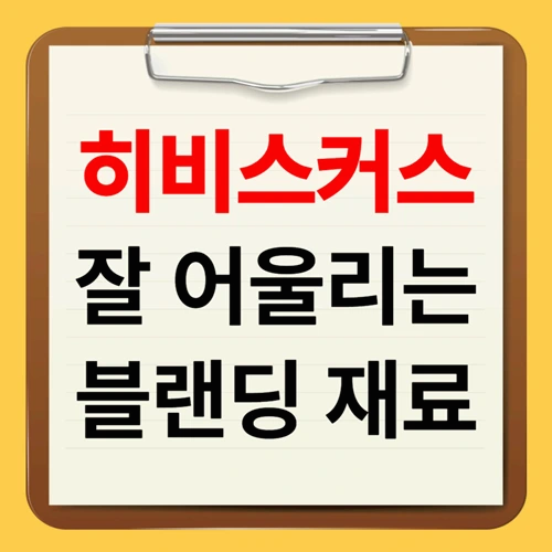 히비스커스차와 블렌딩하면 좋은 재료