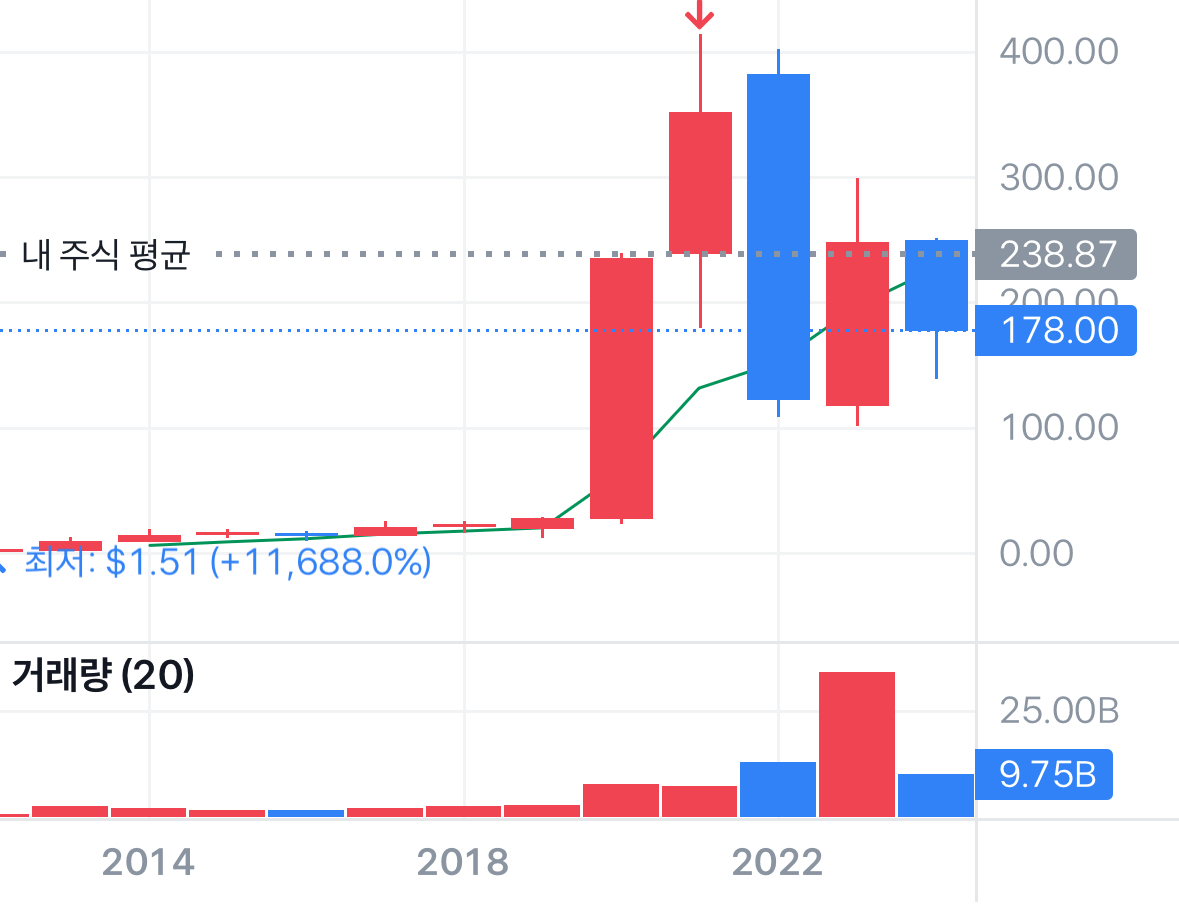 테슬라 주가 전망