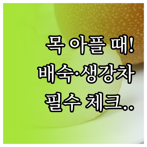 환절기 기관지 건강에 좋은 배숙 생강..