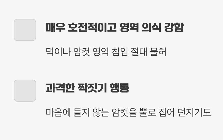 불같은 성격의 파이터