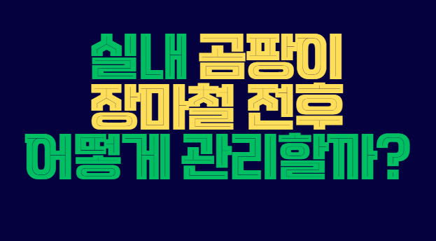 실내_곰팡이