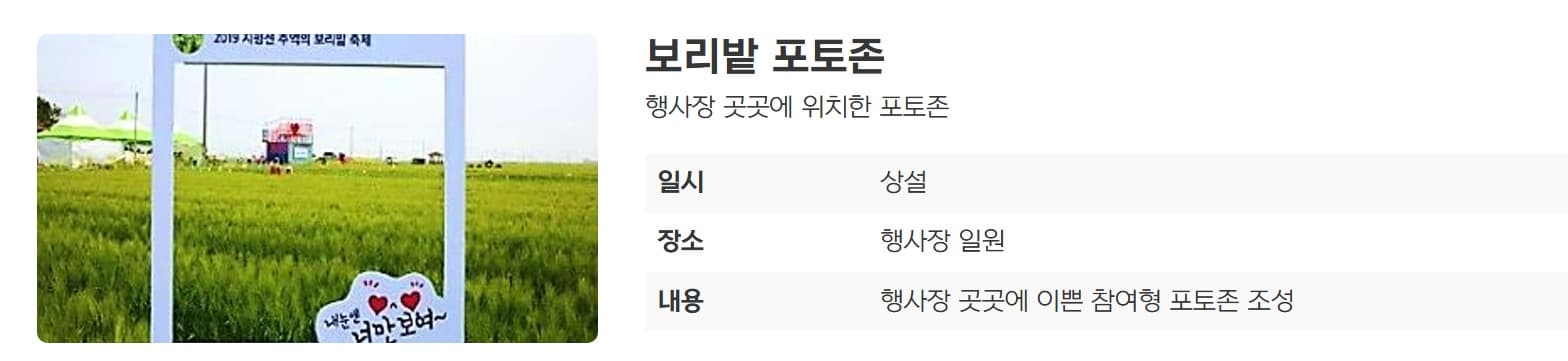 [5월 축제]2025 진봉 새만금 보리밭축제❘기간, 일정, 체험 프로그램, 공연 총정리