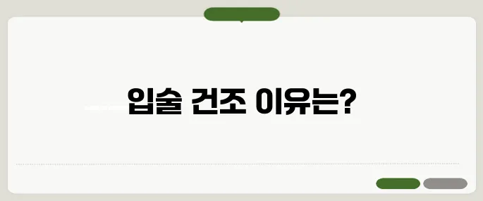 입술이 부르트는 이유 비타민 부족 아닐 수도