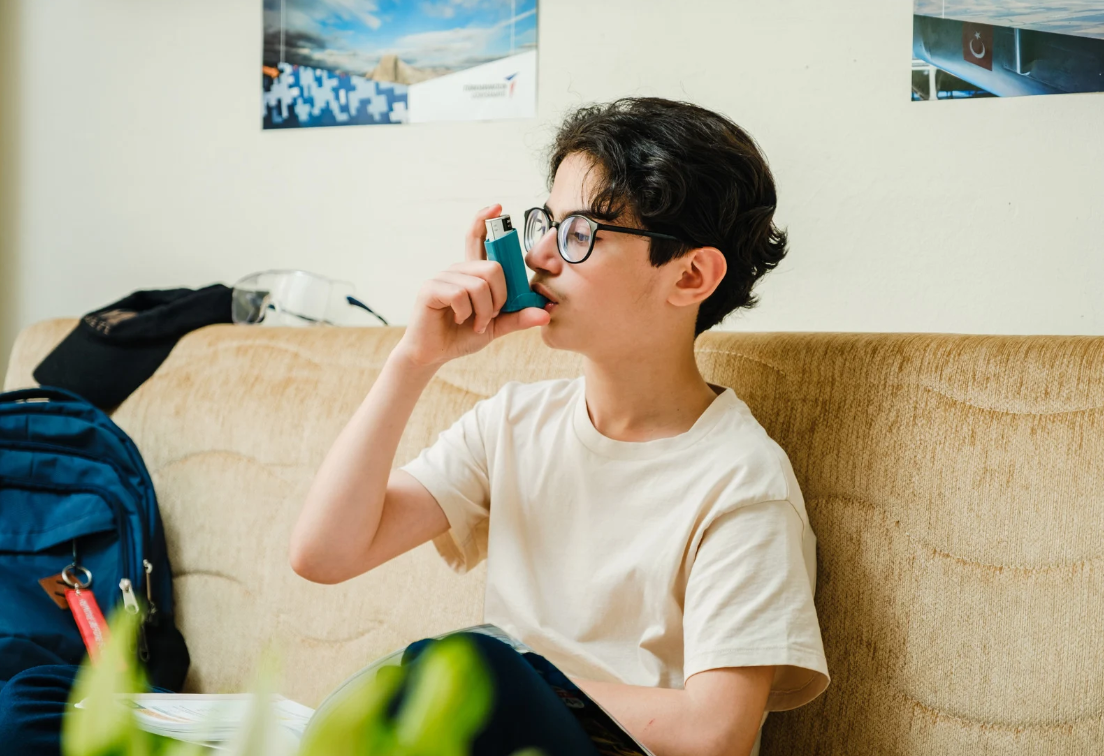 프로폴리스 섭취와 사용 방법