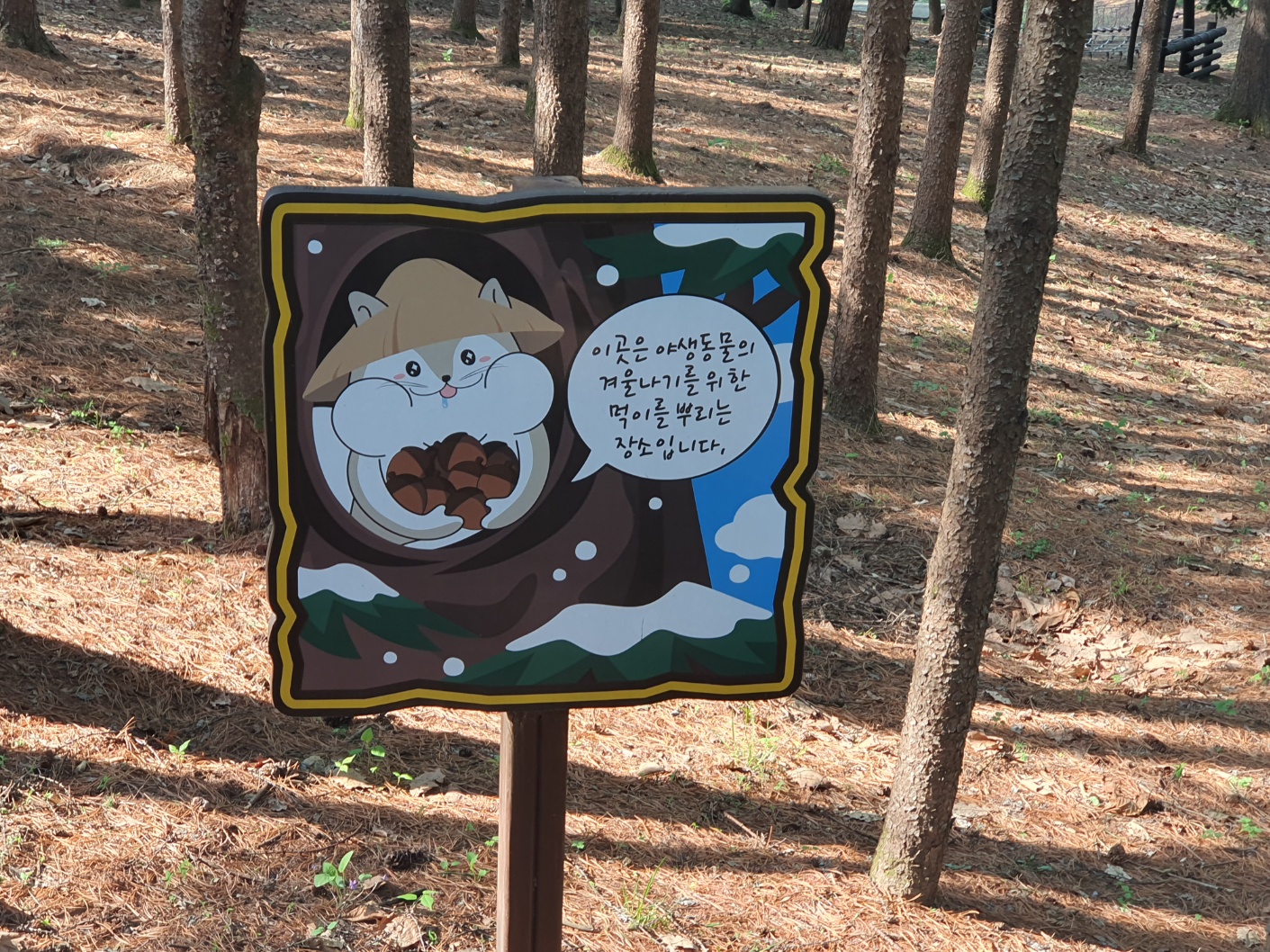 봉래산산림욕장