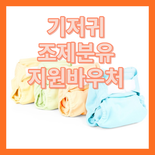 기저귀조제분유바우처