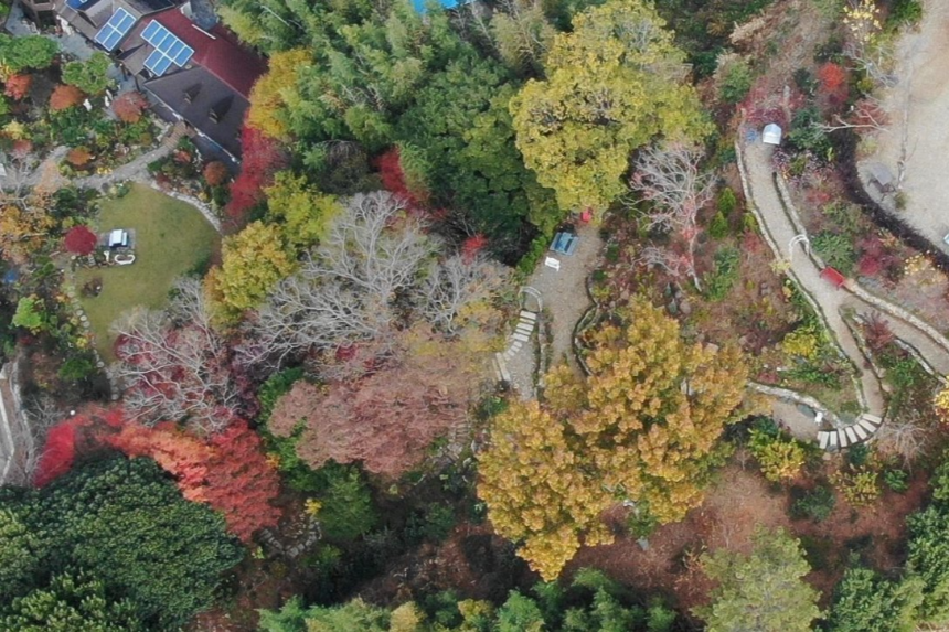 특색 있고 아름다운 민간 정원 30선 추천 여행 - 18. 순천 화가의 정원산책