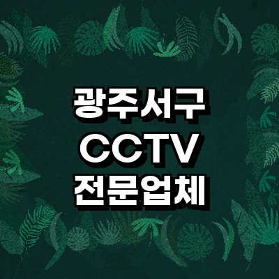 광주 서구 cctv