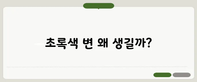 초록색 변 건강에 이상 신호일까?