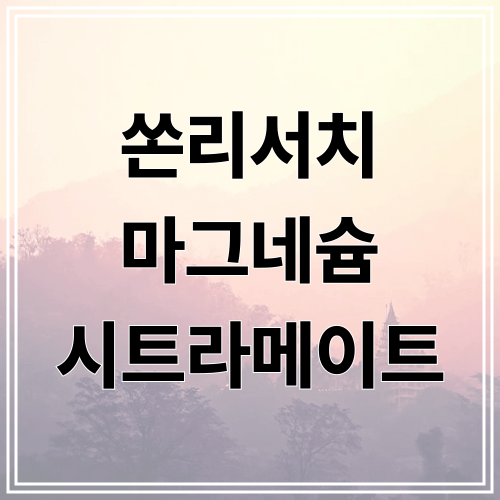 쏜리서치 마그네슘 시트라메이트