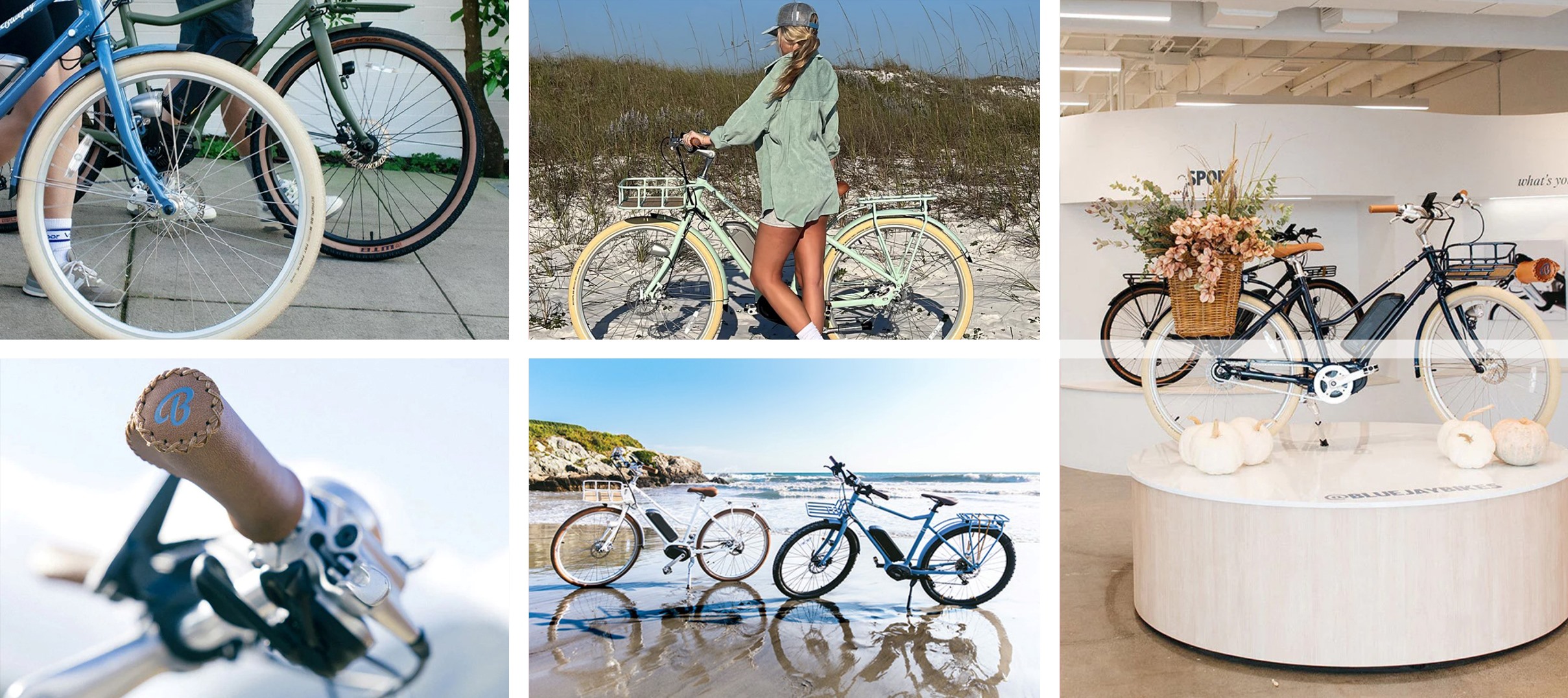 Bluejay Electric Bikes