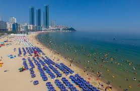 여름 부산 가볼만한곳 베스트 10