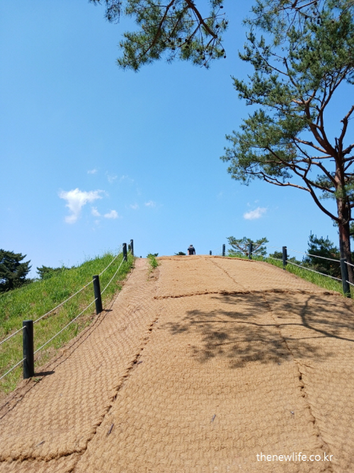 Climbing the final slope before reaching Achasan summit — a symbolic moment of deciding to begin exercising.-아차산 정상 직전의 언덕길을 오르는 모습. 운동을 결심했던 그 순간의 기록.