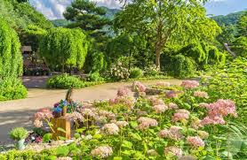 화담숲 어린이·어르신 추천 코스 및 주차 꿀팁 총정리