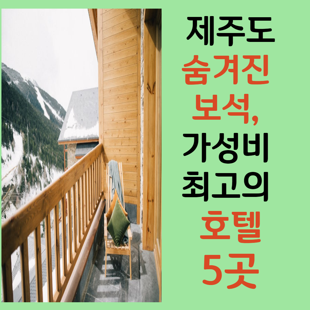 제주도의 숨겨진 보석, 가성비 최고의 호텔 5곳