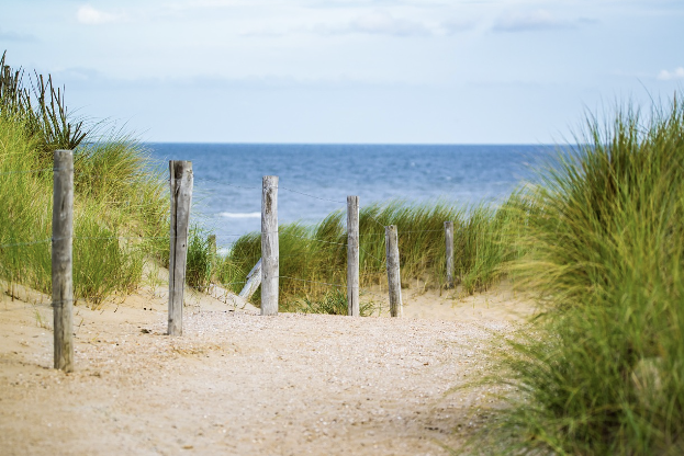 지역사랑 휴가지원사업&amp;#44; 제도&amp;#44; 지역&amp;#44; 지원제&amp;#44; 사업&amp;#44; 시범사업&amp;#44; 신청&amp;#44; 신청방법