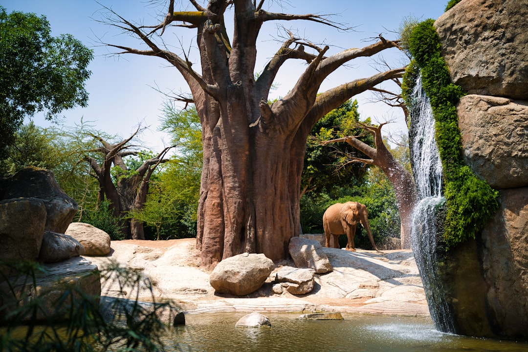 Biopark