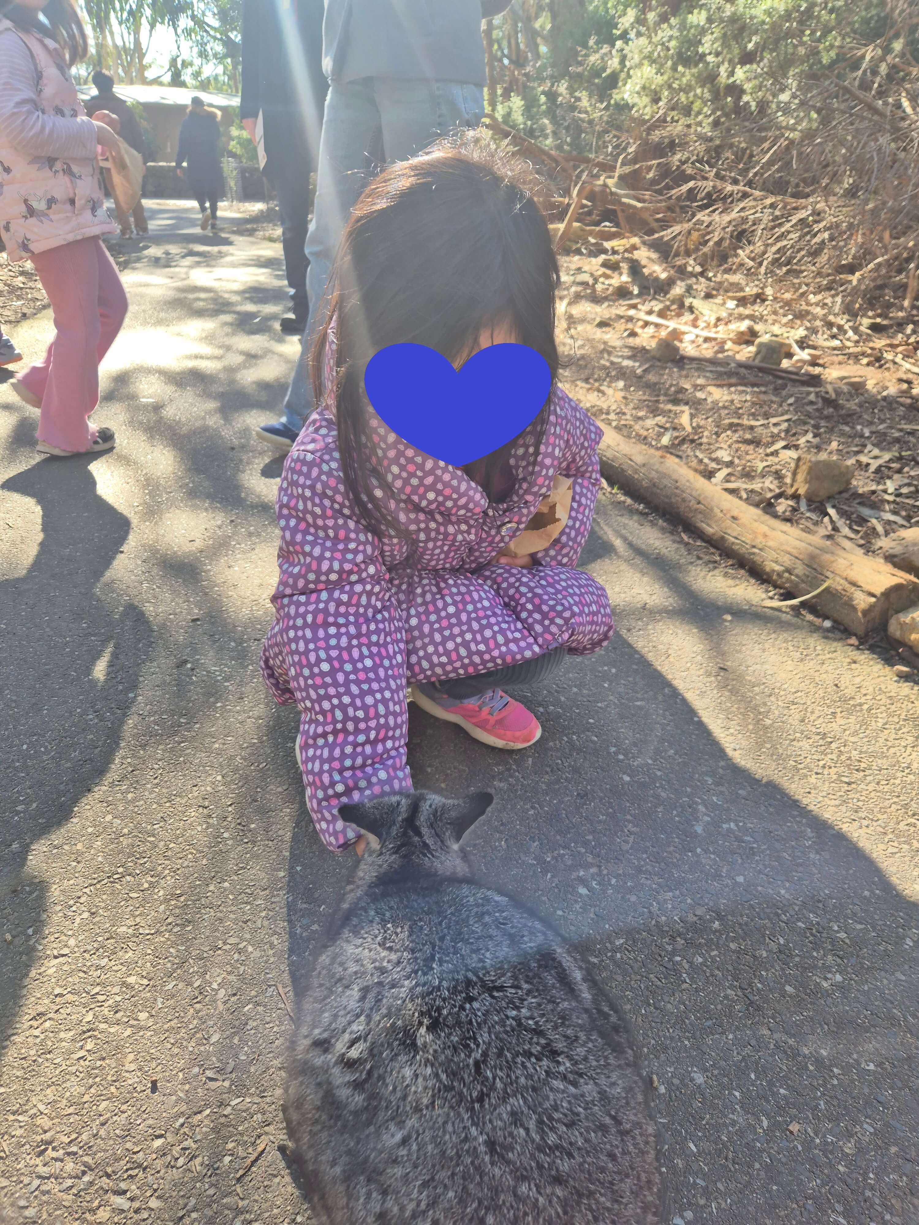 쿼카에게 먹이를 주는 아이