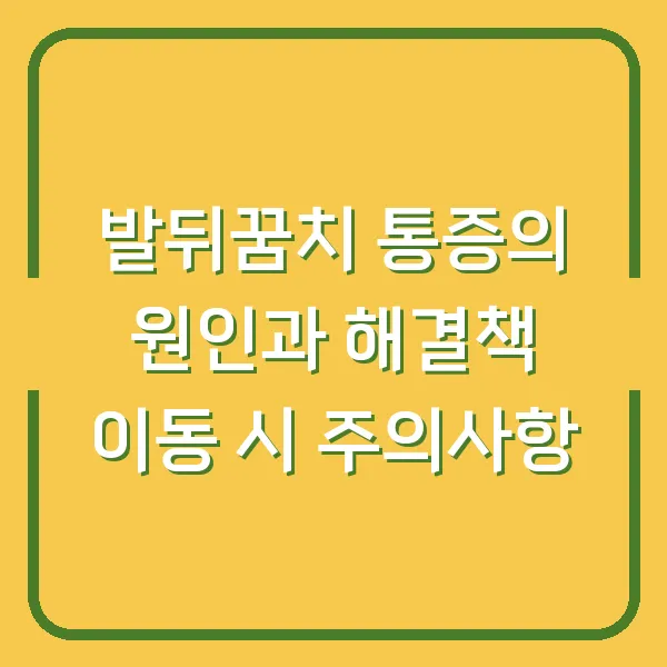 발뒤꿈치 통증의 원인과 해결책 이동 시 주의사항
