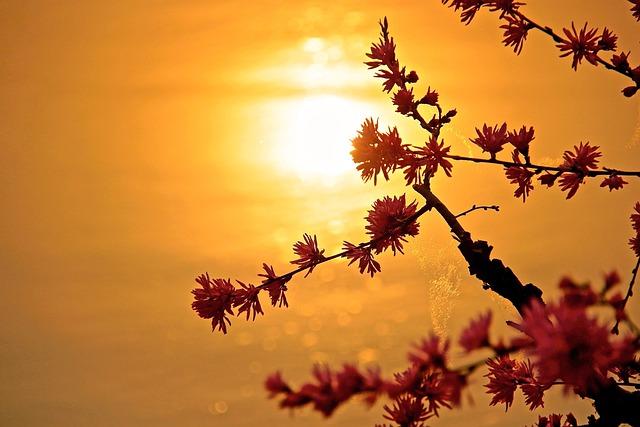 연금소득 종합과세