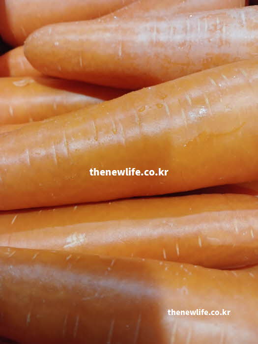 당근 효능 노화 방지를 돕는 알파카로틴