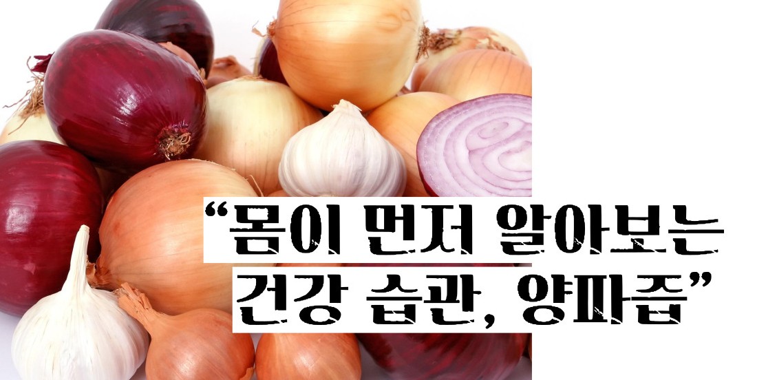 양파즙 효능 고혈압