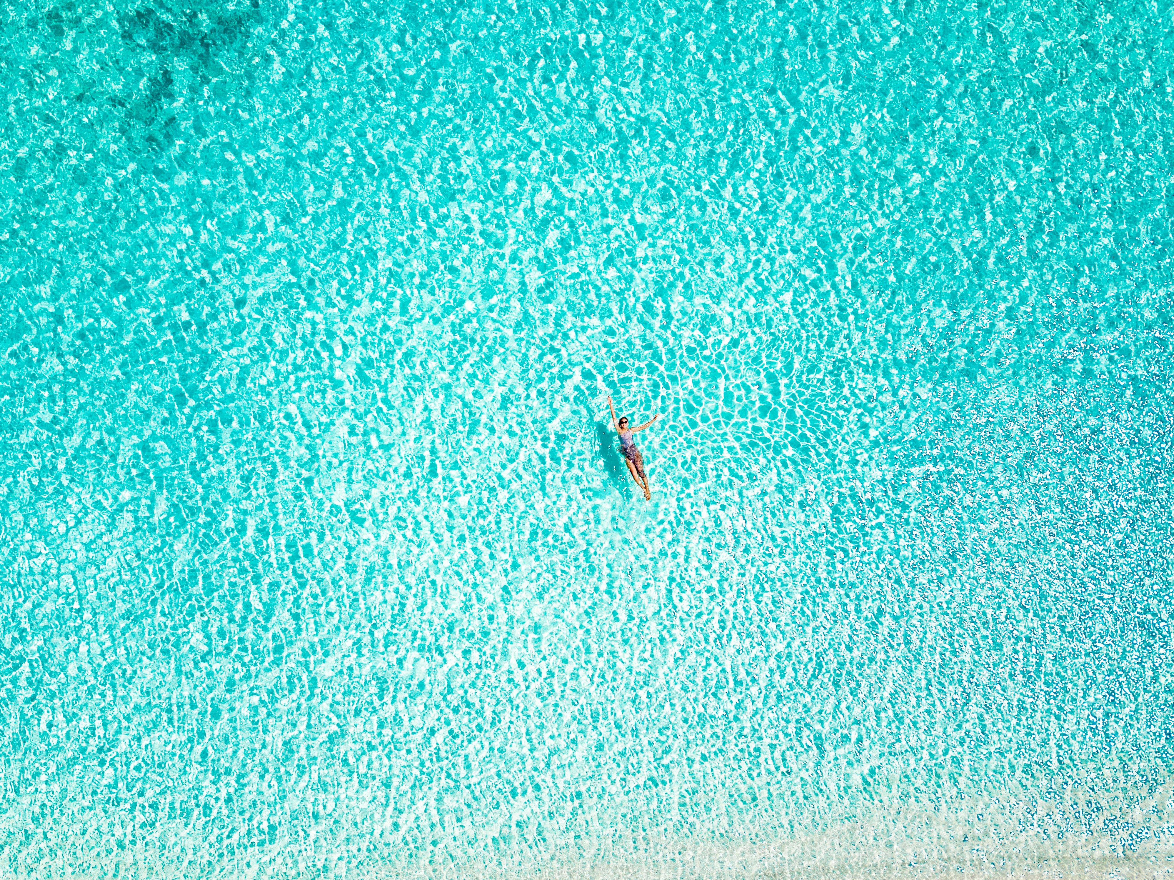 바다에서 혼자 수영하고 있는 사진